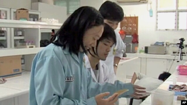 Women Scientists working in a science research lab in Jakarta