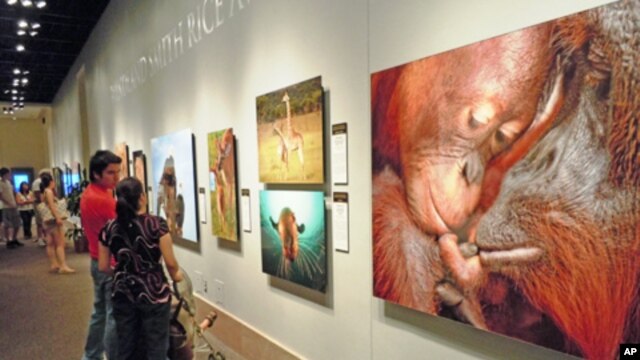 Visitors view one of the winning photos in the Nature’s Best Photography International Awards exhibit at the Smithsonian’s National Museum of Natural History in Washington, DC. (July 2011)