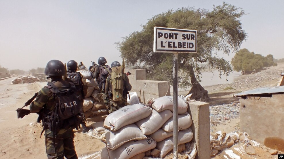 Cameroon Clamps Down on Private Security Firms