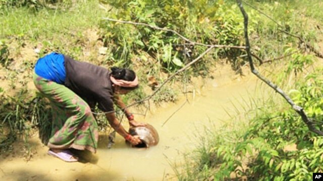 Nepalese villager fetches water from a stream in the village of Bhattegaun (File)