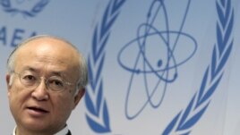 International Atomic Energy Agency (IAEA) Director General Yukiya Amano attends a news conference during a board of governors meeting at the UN headquarters in Vienna, Austria, November 29, 2012. 