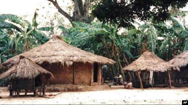 Dois mortos vários feridos em confrontos na Guiné-Bissau.
