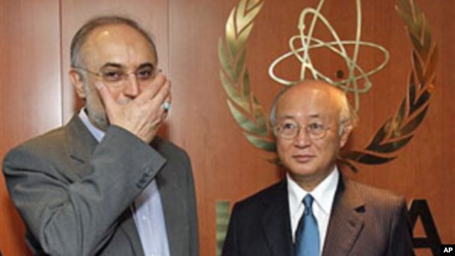 Director General of the International Atomic Energy Agency [IAEA] Yukiya Amano (R) from Japan, welcomes Iranian Foreign Minister Ali Akbar Salehi (L) prior to their talks at the International Center in Vienna, Austria, July 12, 2011 (file photo)