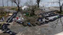 Thi thể các nạn nhân thiệt mạng vì bão Haiyan tại thành phố Tacloban.