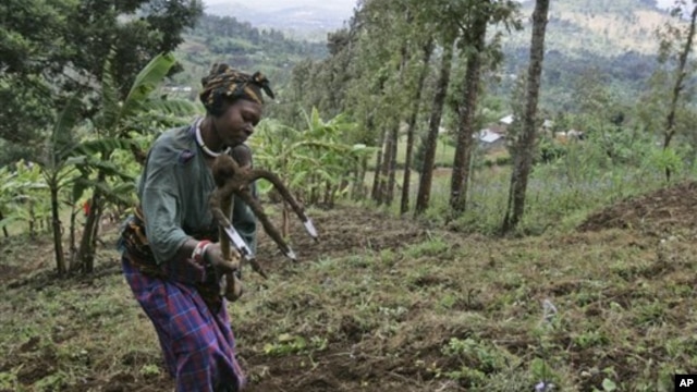 A woman works on a farm in this file photo from near the Tanzanian town of Arusha. Fewer than 10 percent of Tanzanians hold an official title to their land.