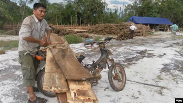 A villager is seen here tying timber to his motorcycle for trading, file photo.