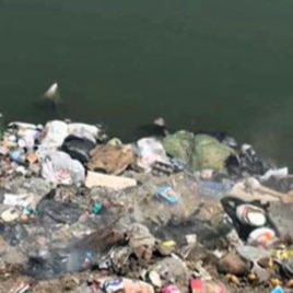 Polluted Nile River