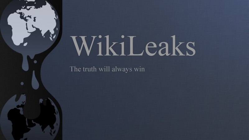  wikileaks        