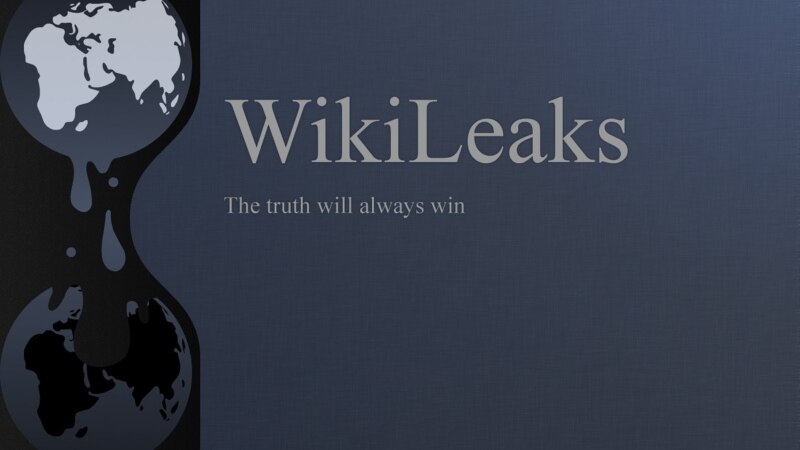  wikileaks       