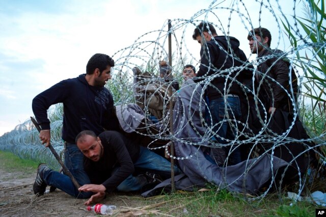 Người tị nạn Syria chui dưới hàng rào kẽm gai vào Hungary, ngày 26/8/2015.