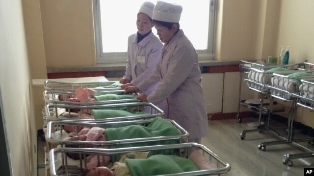 Tweeting in North Korea
