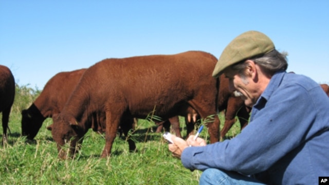 Massachusetts beef farmer Ridge Shinn uses holistic herding to reduce his carbon footprint.