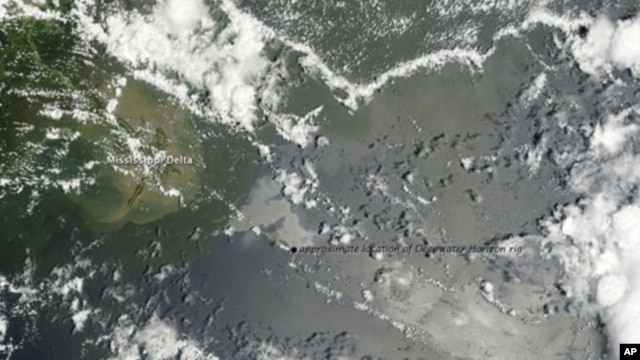 Oil from the damaged Deepwater Horizon oil well lingered off the Mississippi Delta, 04 Jul 2010