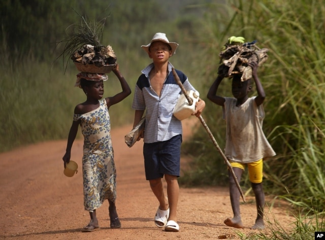 FILE - Children living in a cocoa-producing village walk back from the fields carrying wood and food stuffs on their heads on the outskirts of the town of Oume, Ivory Coast, June 30, 2005.