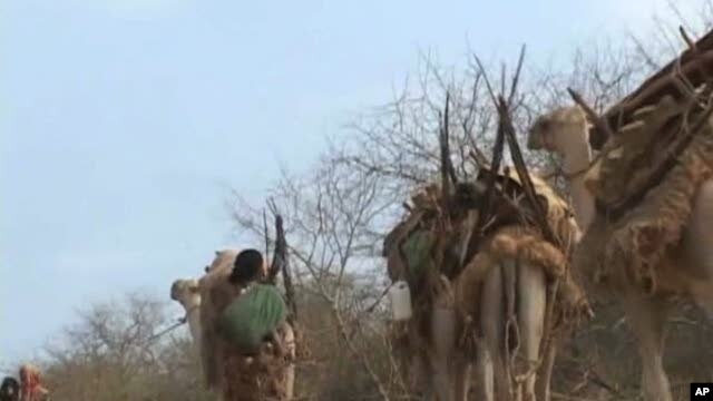 Scene in drought striken northern Kenya
