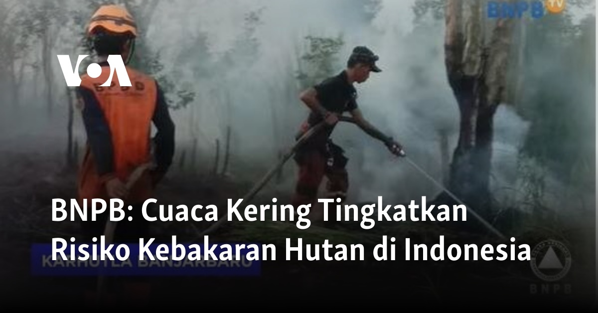 Bnpb Cuaca Kering Tingkatkan Risiko Kebakaran Hutan Di Indonesia