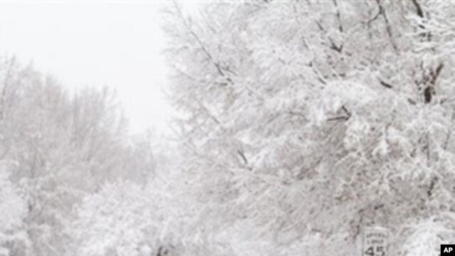 Margaret Ness takes a morning walk through snow in Raleigh, N.C., Sunday, Dec. 26, 2010.