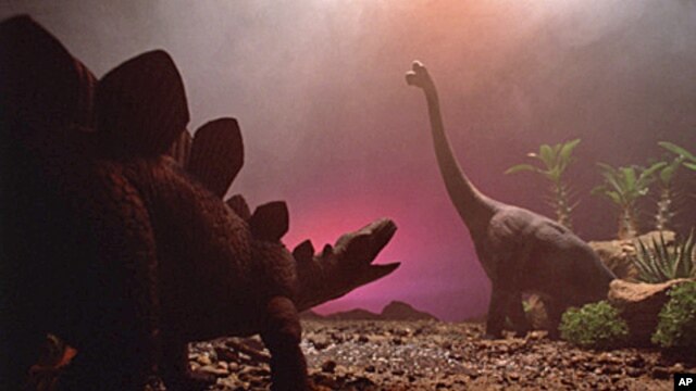 According to an expert, the rate of species loss today is higher than anything documented in the fossil record and many creatures could soon go the way of the dinosaurs.