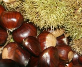 Chestnuts are low in fat and high in fiber.