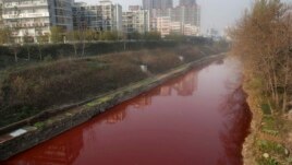 A view of red polluted water in the Jianhe River in Luoyang, Henan province, China, December 13, 2011. 