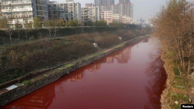 A view of red polluted water in the Jianhe River in Luoyang, Henan province, China, December 13, 2011. 