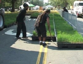 Containers of wheat plants at various stages of the life cycle formed a mobile wheat field that covered a quarter-block of a DC street.