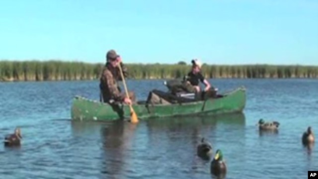 Hunters traditionally use decoys to lure waterfowl - mostly ducks and geese - close enough to shoot.