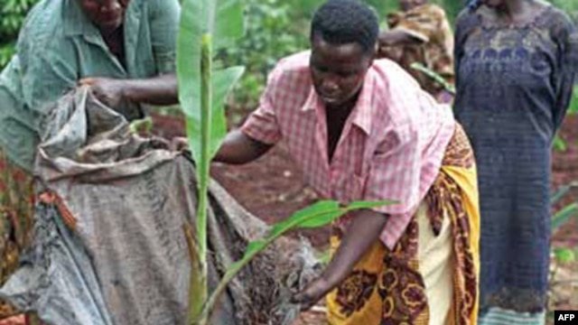 Bread for the World says women farmers need equal rights and equal access to resources
