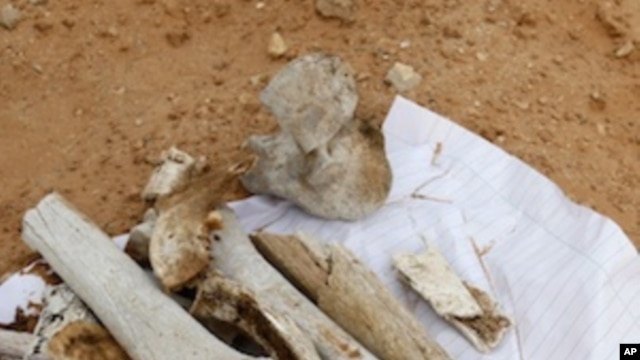 Bone fragments at the site which is thought to be a possible mass grave near to Abu Salim prison in Tripoli, Libya, Sunday, Sept. 25, 2011.