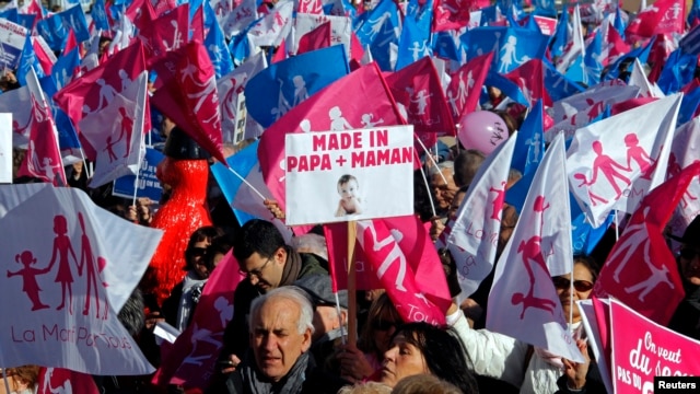 Opponents to gay marriage, adoption and procreation assistance attend a demonstration in Marseille February 2, 2013.