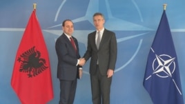 Nato, Nishani takim me Stoltenberg