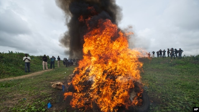LiU.N., Liberian Drug Enforcement Agency officials destroy 30 kilograms of marijuana in Paynseville, near Monrovia, Nov. 15, 2013.