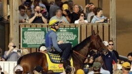 El favorito del Kentucky Derby, el potro de dos años Bodemeister quedó en segundo lugar en Churchill Downs.
