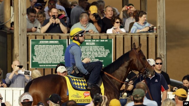 El favorito del Kentucky Derby, el potro de dos años Bodemeister quedó en segundo lugar en Churchill Downs.