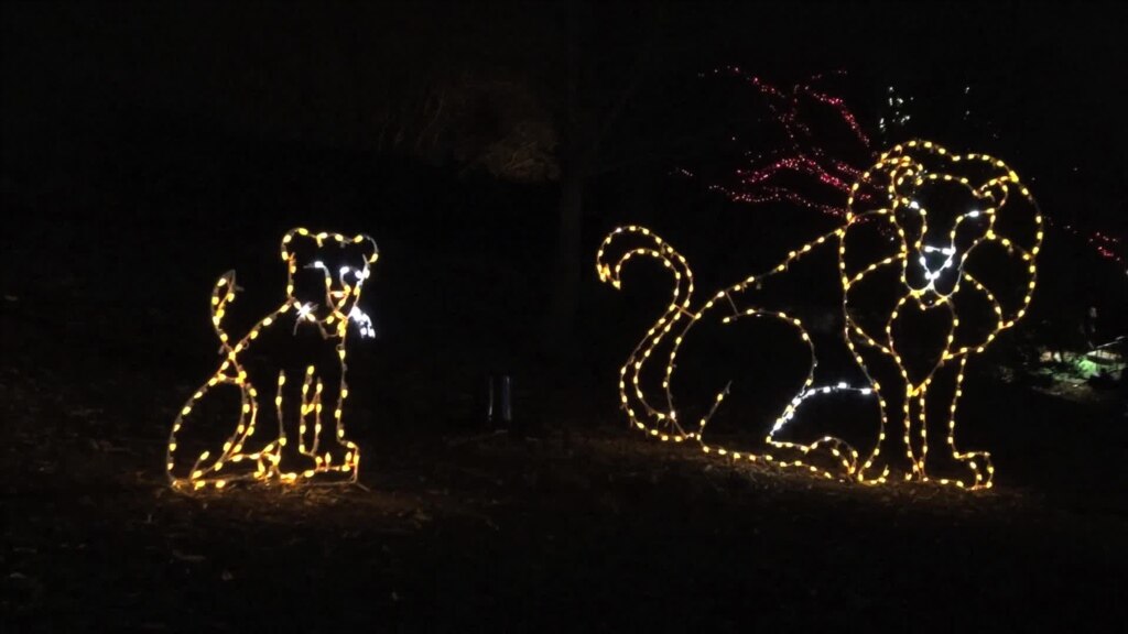 animal sculptures light up national zoo for christmas animal sculptures light up national zoo for christmas