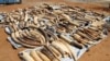 France Takes Public Stand Against Illegal Ivory Trade