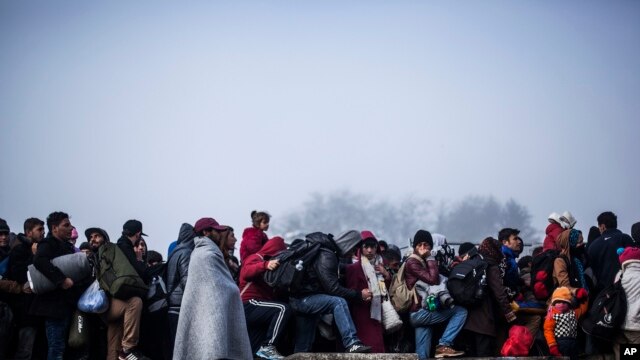 Migranti na slovenačko-austrijskoj granici. 