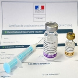 WHO Denies Conflict in Manufacture of Swine-Flu Vaccine