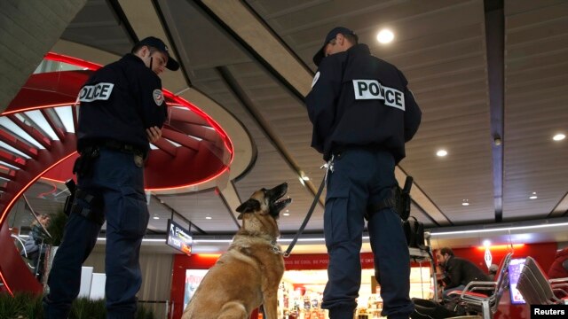 在巴黎戴高乐机场的一个候机厅，警察带着警犬站岗（2016年5月19日）