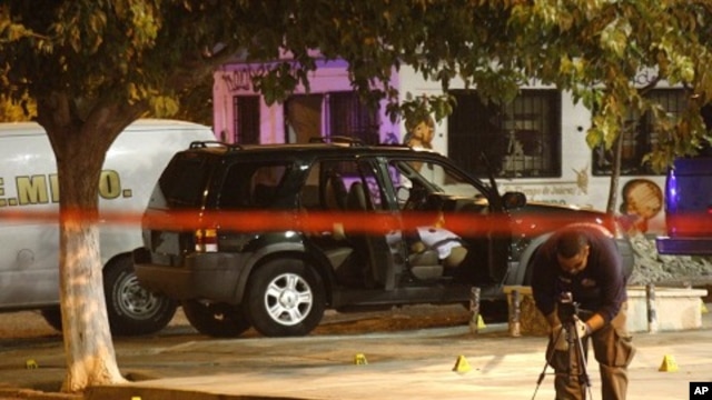 A member of a forensic team works at a crime scene where five men were gunned down in Ciudad Juarez July 12, 2011