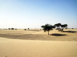 Mauritanian landscape. The photo was taken on a field trip to Mauritania led by Jan-Berend Stuut in November 2009.