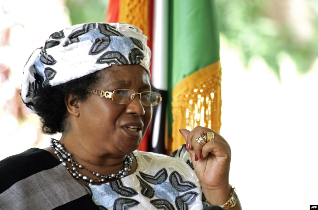 Joyce Banda has set up a team to audit all government departments