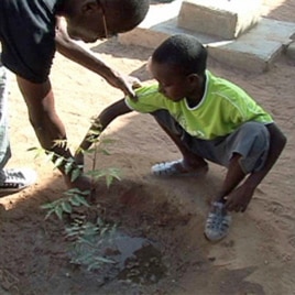 A teacher shows a student how to tend a newly planted tree