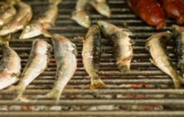Eating more prey than predators could help restore a healthy balance to the ocean ecosystem.