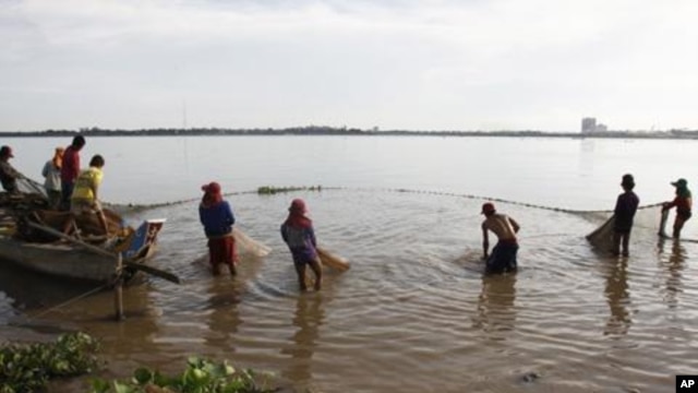 Cambodian fishermen move their fishing net from the Mekong River as they catch fish on the outskirts of Phnom Penh.