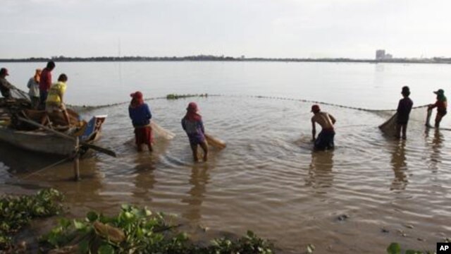 Cambodian fishermen move their fishing net from the Mekong River as they catch fish on the outskirts of Phnom Penh, file photo.