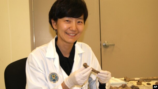   . Ȯα(DPAA) 6.25 ̱   ϰ ִ   ڻ