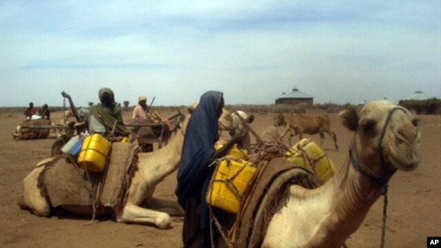 Somali women load water containers on camels near the Wanlaweyn district in the lower Shabelle region, 90 kms south of Mogadishu, 19 Jan 2011