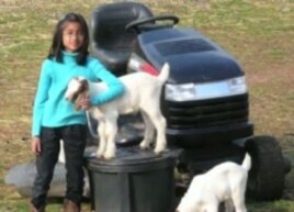 The Hossains say their children have become less materialistic since moving to the farm.