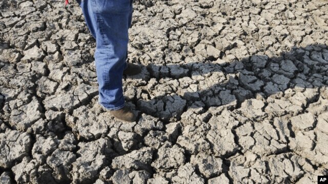 La peor sequía en 50 años afecta ya a dos tercios del país.